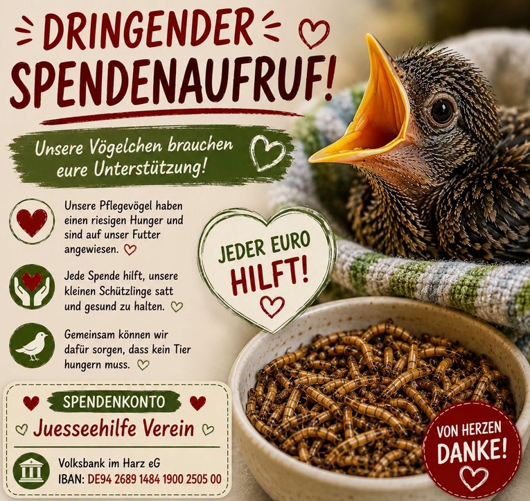 https://juesseehilfe.de/images/phocagallery/DiesundDas/2026/juli/thumbs/phoca_thumb_l_1.jpg